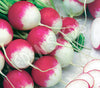 Radish Sparkler Seeds