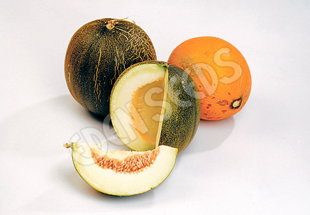 Rockmelon Collective Farmwoman Seeds
