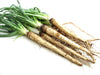 Salsify Mammoth Sandwich Island Seeds