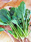 Microgreens Spinach English Seeds