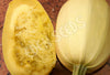 Squash Winter Spaghetti Squash Organic Seeds