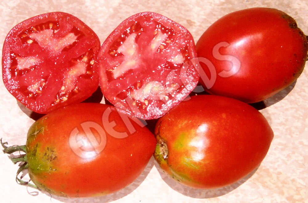 Tomato Amish Paste