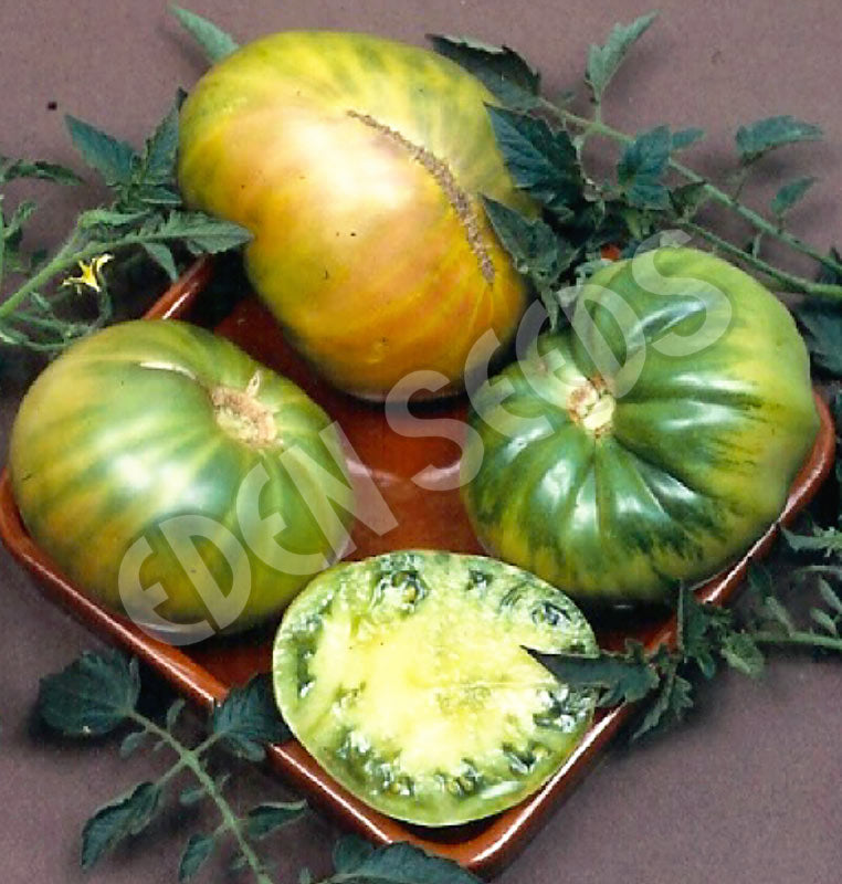 Tomato Aunty Rubys Green Seeds