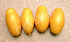 Tomato Banana Legs Seeds