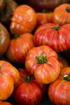 Tomato Big Rainbow