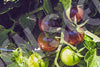 Tomato Black Cherry Seeds