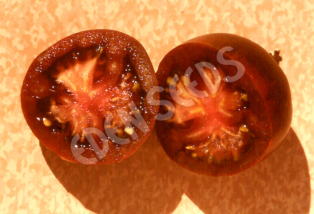 Tomato Black Russian Seeds