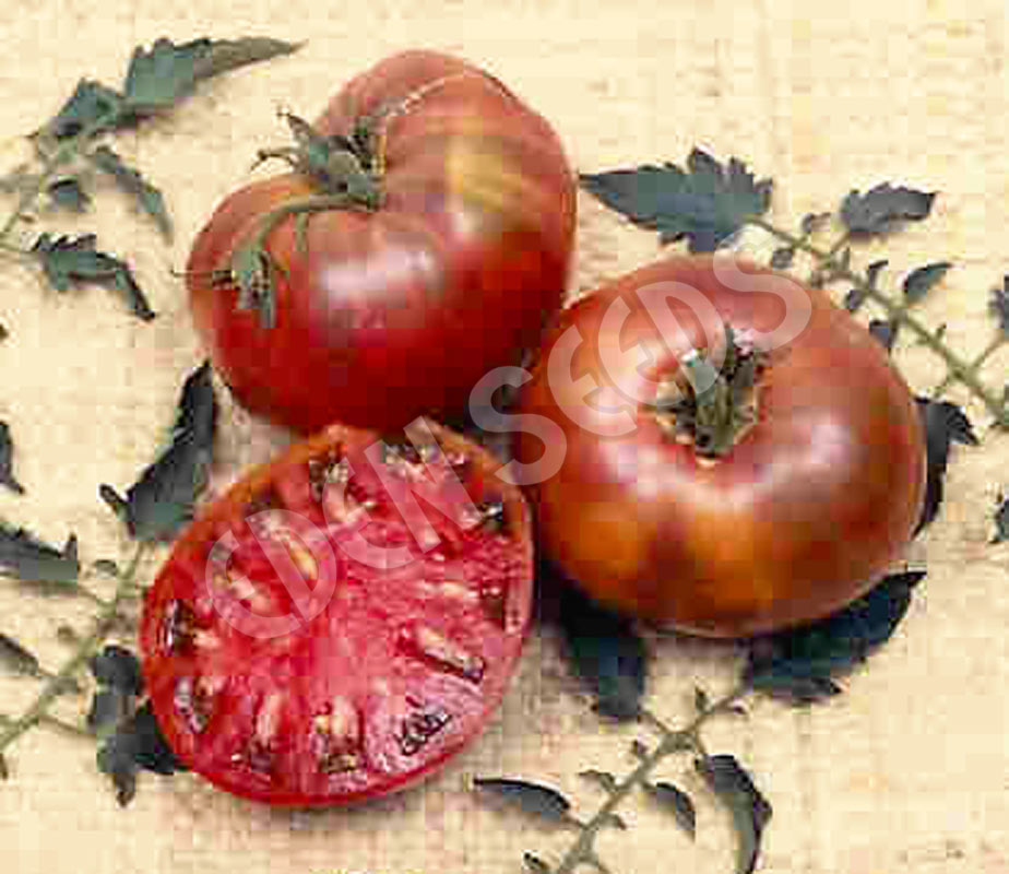 Tomato Cherokee Purple Seeds