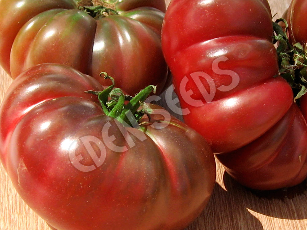 Tomato Purple Calabash Organic Seeds
