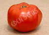Tomato Silvery Fir Tree Seeds