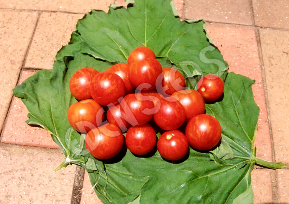 Tomato Tigerella Seeds