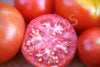 Tomato Tropic Seeds