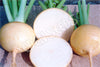 Turnip Gold Ball Seeds