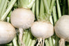 Turnip Snowball Seeds