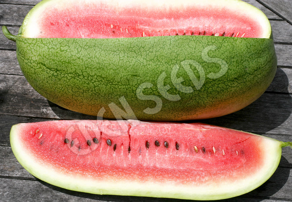 Watermelon Charleston Grey Seeds