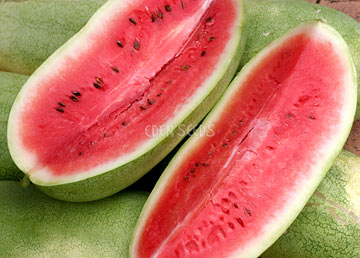 Watermelon Charleston Grey Seeds