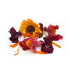 Freeze Dried Red + Orange Edible Flower Mix