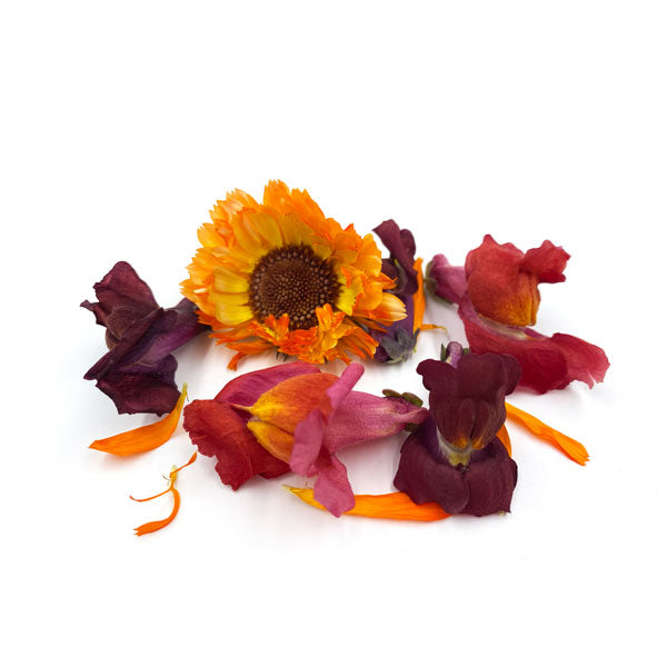 Freeze Dried Red + Orange Edible Flower Mix