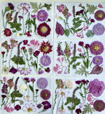 Custom Pressed Freeze Dried Edible Flowers