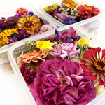 BULK- Freeze Dried Seasonal Edible Flowers