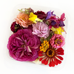 BULK- Freeze Dried Seasonal Edible Flowers