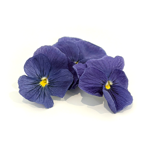 Freeze Dried Edible Violas/Pansies