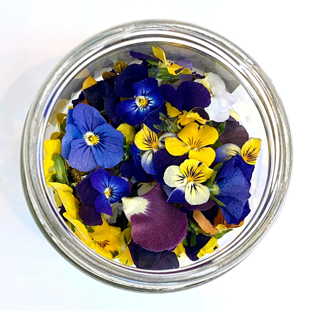 Freeze Dried Edible Violas/Pansies
