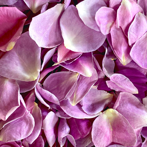 Freeze Dried Rose Petals