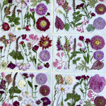 Pressed Seasonal Freeze Dried Edible Flowers