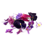 Freeze Dried Pink + Purple Edible Flower Mix