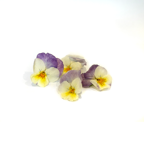 Freeze Dried Edible Violas/Pansies