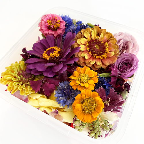 BULK- Freeze Dried Seasonal Edible Flowers
