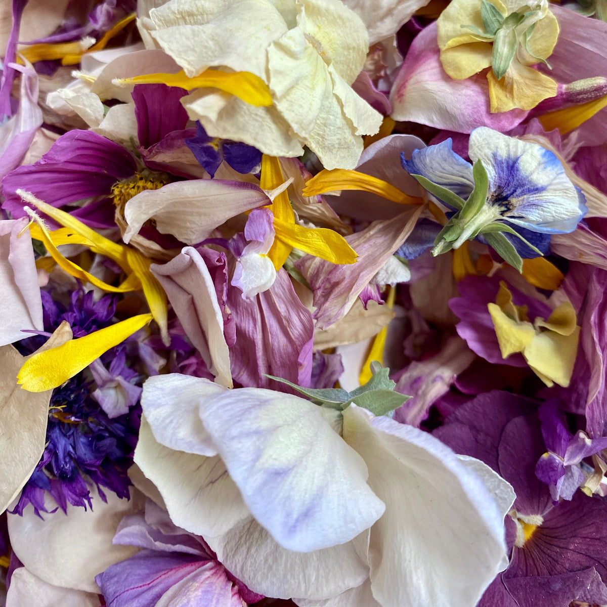 Baker's pack BULK mixed whole and pressed flowers