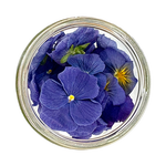 Freeze Dried Edible Violas/Pansies