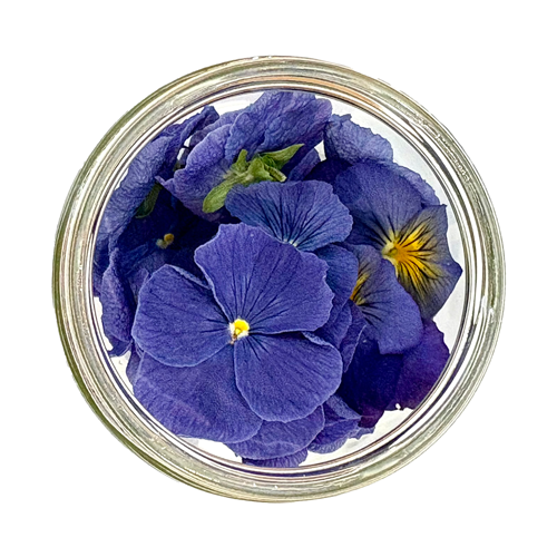Freeze Dried Edible Violas/Pansies