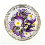 Freeze Dried Edible Violas/Pansies