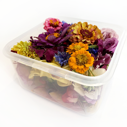 BULK- Freeze Dried Seasonal Edible Flowers