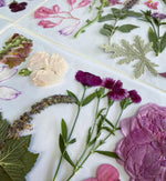 Pressed Seasonal Freeze Dried Edible Flowers