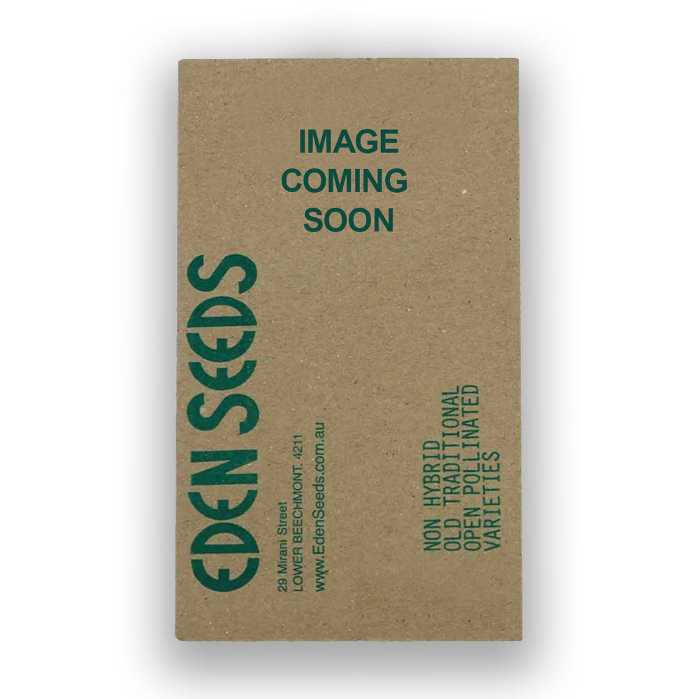 Cat Grass Cocksfoot Savvy Seeds