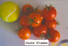 Tomato Jaune Flamme Seeds
