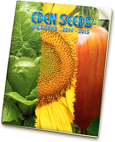 Eden Seeds catalogue