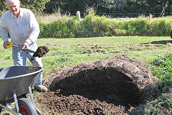 Shoveling compost