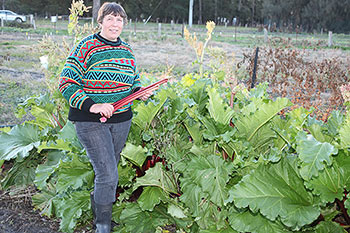 Rowan with Rhubarb