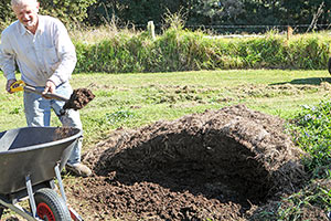 Compost