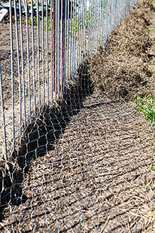 Garden fencing