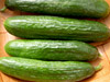 Cucumber