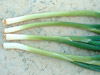 Shallots