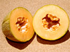 Rockmelon