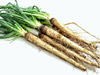 Salsify