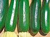 Zucchini